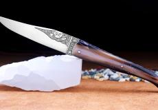 Laguiole Taschenmesser Mickael Ginisty, Edition GARAMOUCHE, Horn blond, brosse, guillochierte Biene, plein, 13 cm