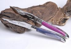 Taschenmesser Laguiole en Aubrac, brillant, Kamel, guillochierte Biene - Kamelknochen Taschenmesser - Handmade in France