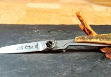 Taschenmesser Claude Dozorme, Edition Liner Francais CORSE, Widderhorn, brosse Taschenmesser - Handmade in France
